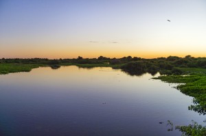 Pantanal