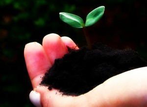 Sustentabilidade