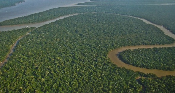 Floresta Amazônica