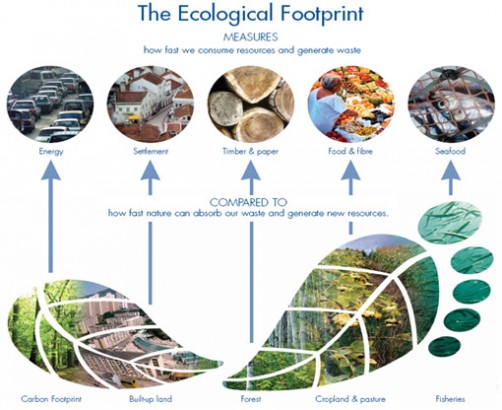 Pegada Ecológica