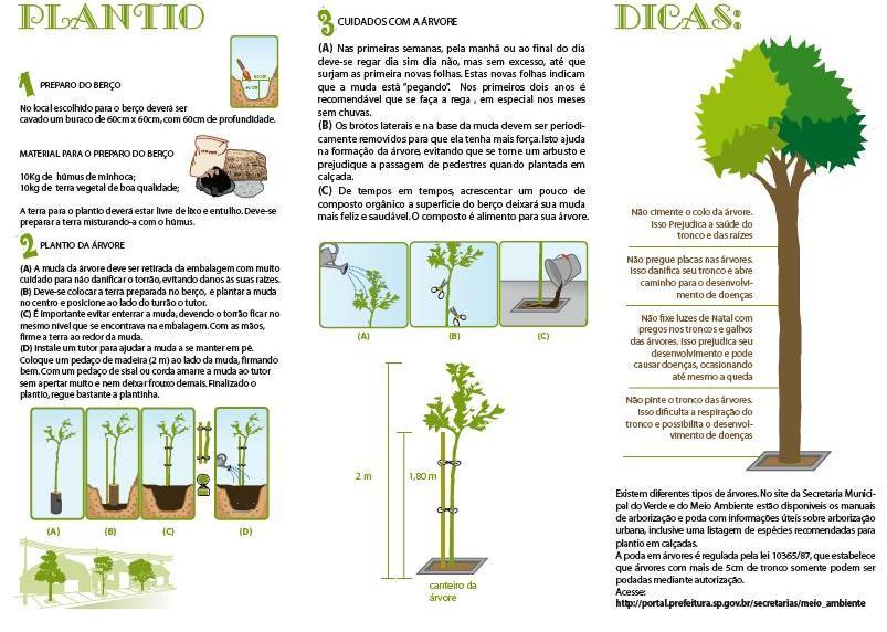 Campanha de incentivo à arborização da cidade de São Paulo Campanha de incentivo à arborização da cidade de São Paulo