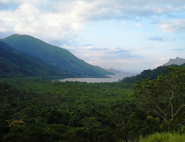 Resultado de imagem para imagens da floresta atlantica