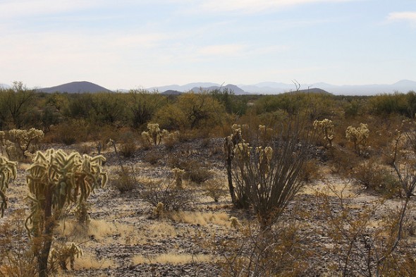 Zona Desértica