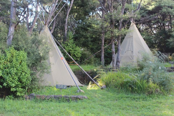 Camping SolScape