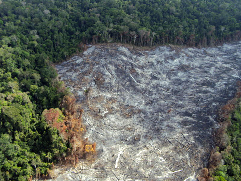 Arco do desmatamento da amazônia