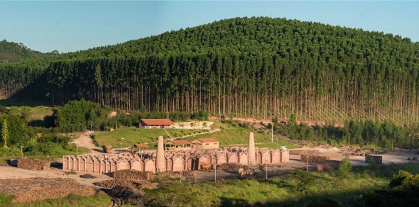 Fazenda Usina Guaxupé
