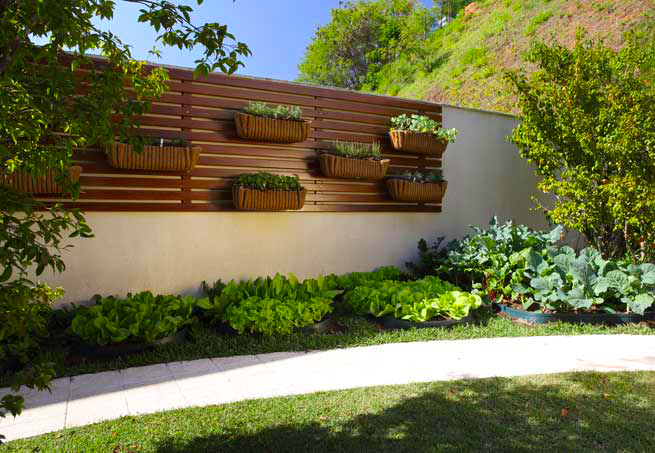 jardim vertical urbano:Jardim De Casa jardim vertical urbano:Jardim De Casa