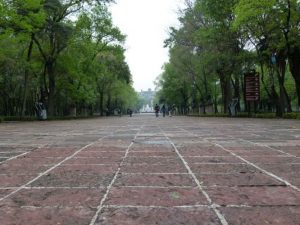Bosque de Chapultepec