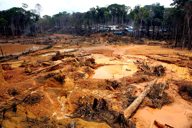 Resultado de imagem para desmatamento amazônia
