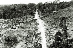 Construção da Rodovia Belém-Brasília
