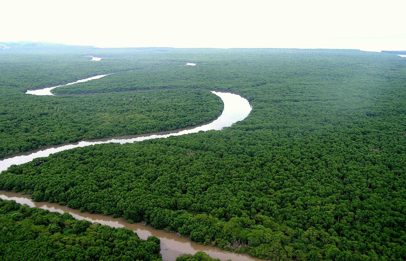 Destruição da natureza: Os principais ambientes modificados pelo homem ...