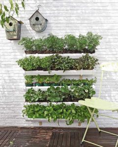 Horta Suspensa