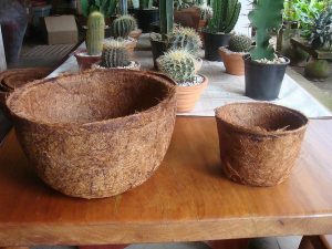 Vaso de fibra de coco
