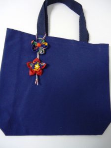 Bolsa de Pano