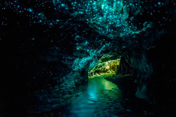 Caverna Waitomo Glowworm, Nova Zelândia