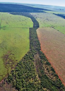 corredor ecológico