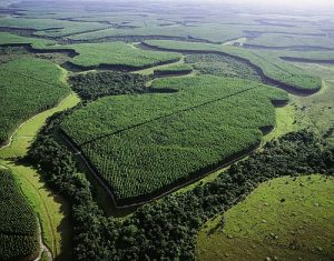 Corredor ecológico