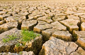 Mudanças climáticas