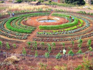Sistema agrícola mandala