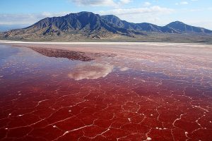 Lago Natron