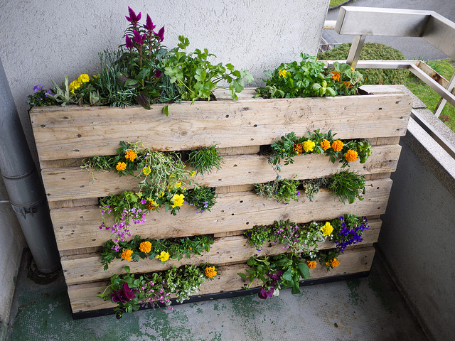 Passo a Passo Saiba como fazer um jardim vertical com pallets Passo a Passo a Passo Saiba como fazer um jardim vertical com pallets Passo a