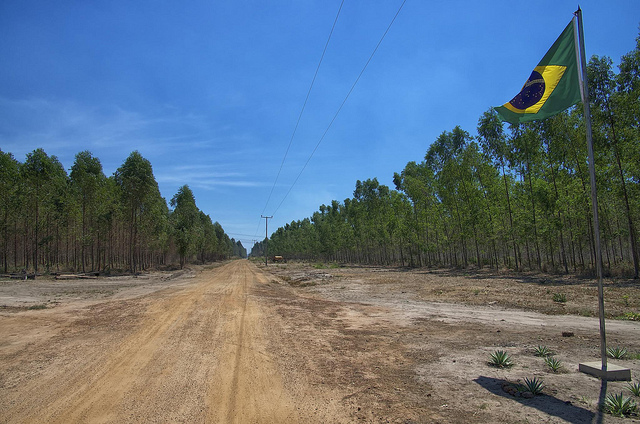 Amazônia Legal