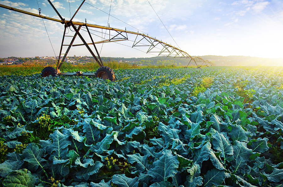 Resultado de imagem para agricultura moderna