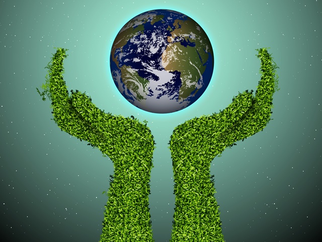 Resultado de imagem para imagens de meio ambiente