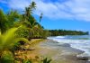 foto de praia com vegetação