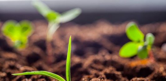 1-Agricultura-2