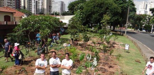 1-Floresta-de-Bolso-2