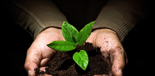 1-Meioambiente-2