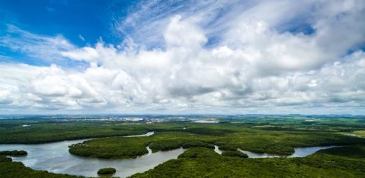 1-Pan-Amazonia-2
