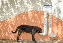 Projeto em Americana instala comedouros para cães abandonados