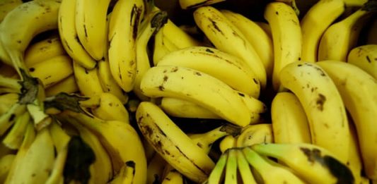 1-bananas-Cavendish-2