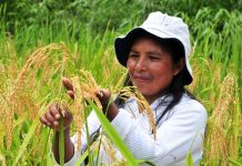 Até 2020, Bolívia pretende produzir a própria comida que consome