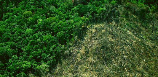 1-desmatamento-amazonia-2