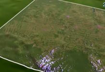 Vídeo da NASA mostra devastação em Rondônia