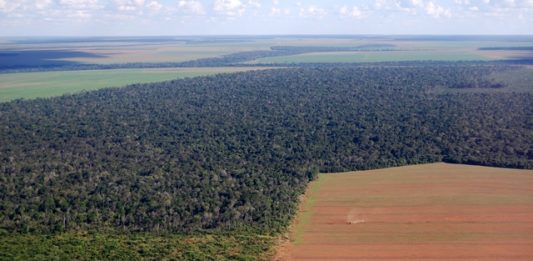 1-grilagem-de-terra-2