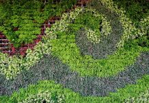 Prefeitura de SP incentiva empresas a patrocinarem jardins verticais