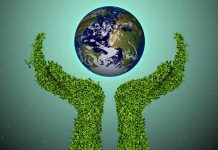 Plataforma digital aproxima documentários sobre meio ambiente da população em geral