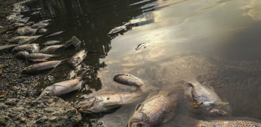 1-poluicao-termica-2