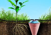 Produto de cerâmica é capaz de manter uma planta regada por até 30 dias