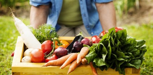 1-produtos-organicos-2