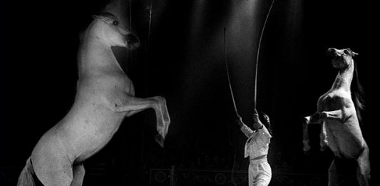 1-proibicao-animais-circo-2