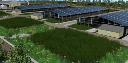 1-projeto-fazenda-detroit-2