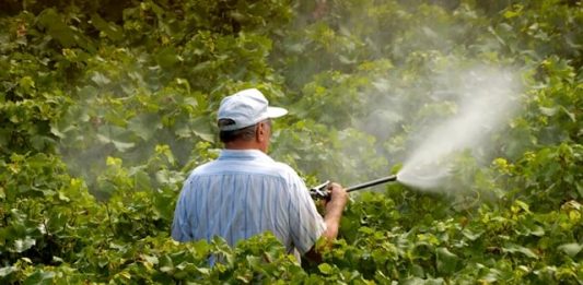 1-pulverizacao-inseticida-2