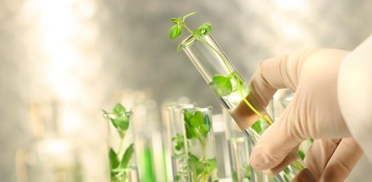 1-quimica-verde-2