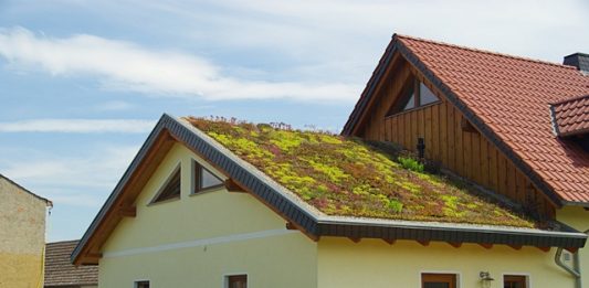 1-telhado-verde-2