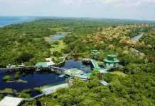 Conheça os incríveis hotéis de selva de Manaus (AM)